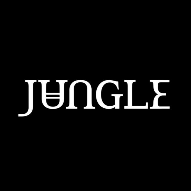 Jungle Forest