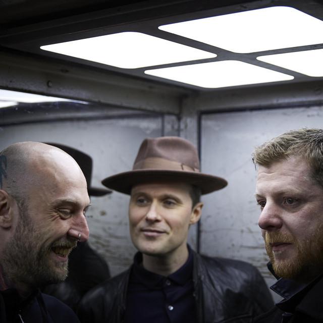 The Fratellis Essex