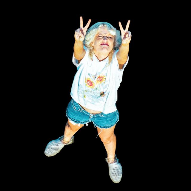 Amyl and The Sniffers Dublin